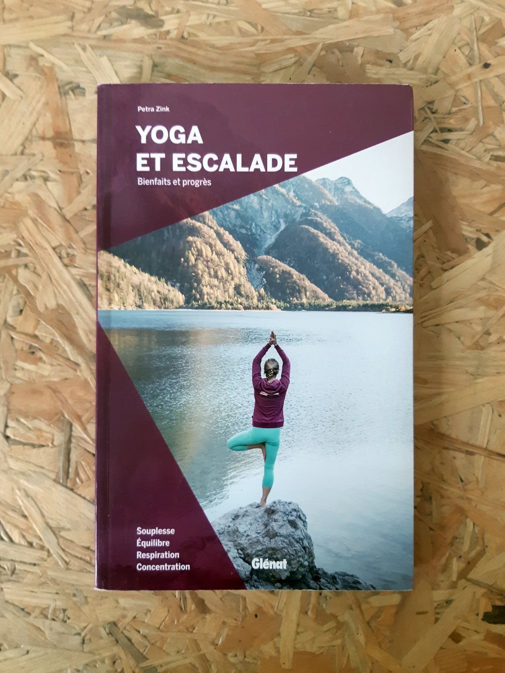 Bücher: Yoga et escalade, Bienfaits et progrès – Neu (gemäss Beschreibung) aus Ecublens VD von TWISTO
