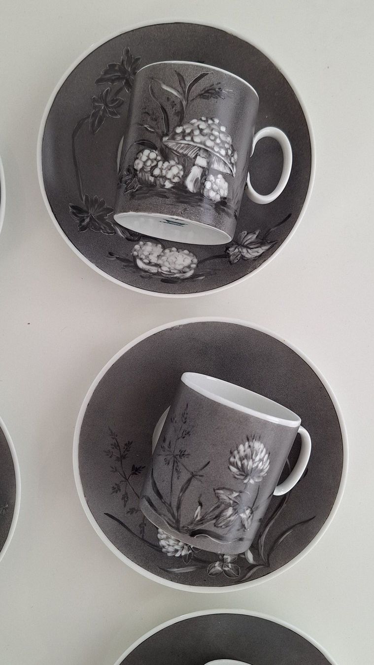 Thomas Set di piatti: ca. 1979 - Vintage Tassen-Set – Thomas , "Botanic" – Usato da Horgen venduto da OlJaS 3