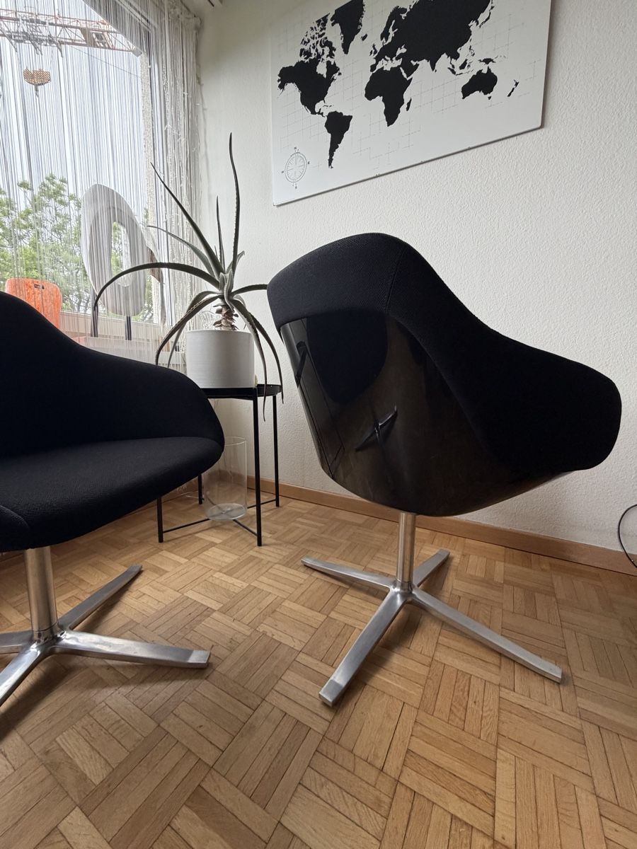 Knoll Sedie: Walter Knoll/Turtle Chair/ Last Chance – Usato da Schaffhausen venduto da TesnoStudio 1