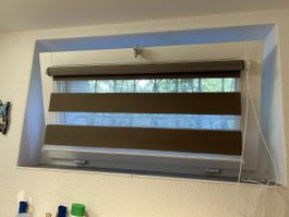 fensterrollo