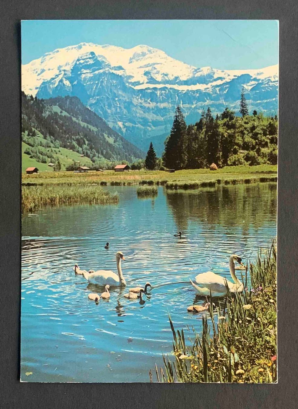 Cartoline postali: AK Lenk Berner Oberland Lenkersee mit Wildstrubel – Usato da Goldau venduto da artelier1