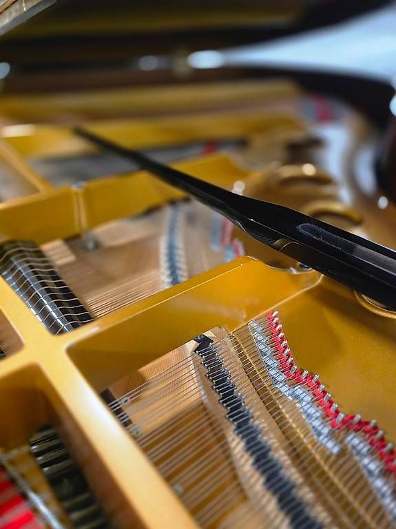 Musikinstrumente: Flügel Samick SG-185 – Gebraucht aus St. Gallen von KlaviertechnikTobehn 4