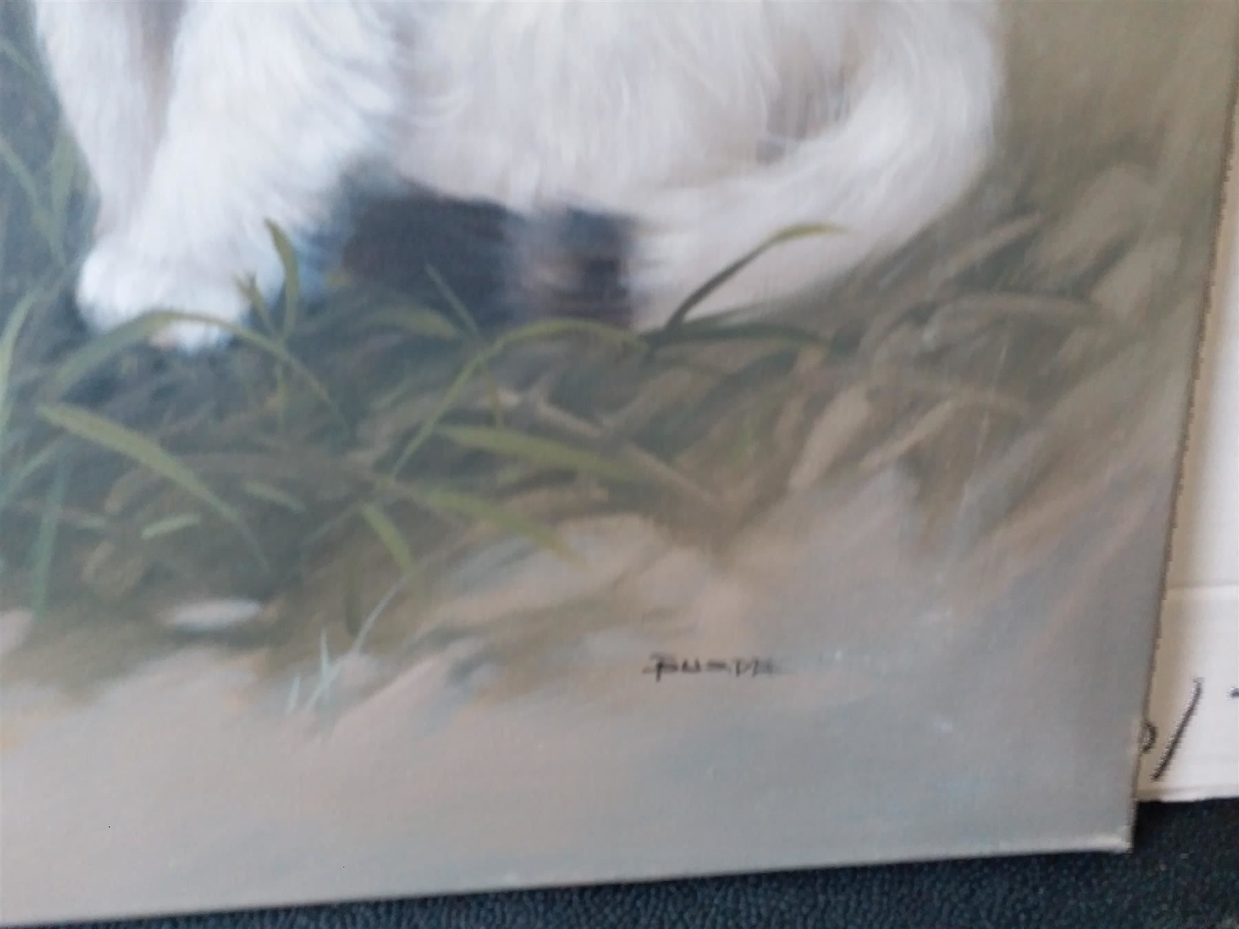 Tableaux: Busdee "Katzen" Gemälde – D'occasion à Zürich par Galerie-Kunst 1