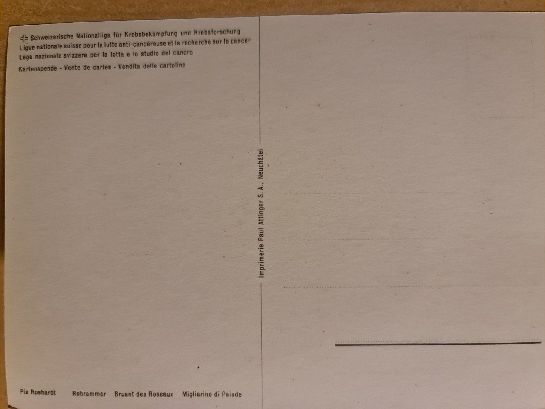 Cartoline postali: Ansichtskarte Rohrammer – Nuovo (secondo la descrizione) da Dintikon venduto da Vexi 1