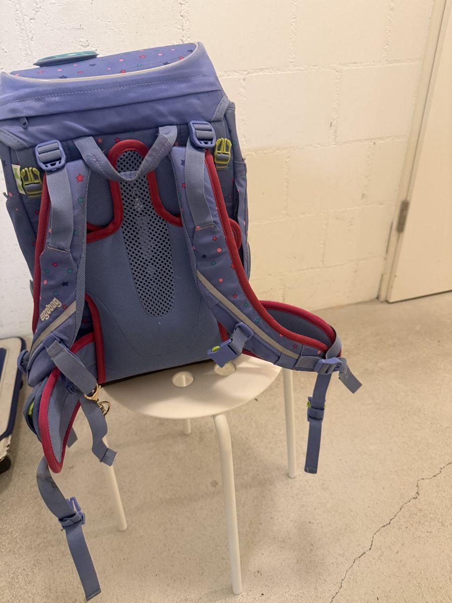 Borse & Zaini: Ergobag Schulthek inkl. zwei Etuis – Usato da Aarau venduto da son_rd99 2