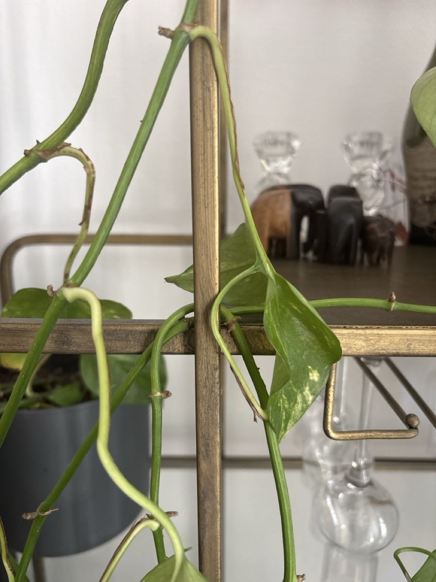 Étagères: Metal shelf – Neuf (Voir description) à Zürich par duc_pjh7 2