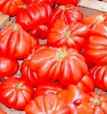 Piante & sementi: 25 SAMEN GRAINES SEMI Tomate OCHSENHERZ – Nuovo e nell'imballaggio originale da Rovio venduto da POSITIFFARTandPLANTS 2