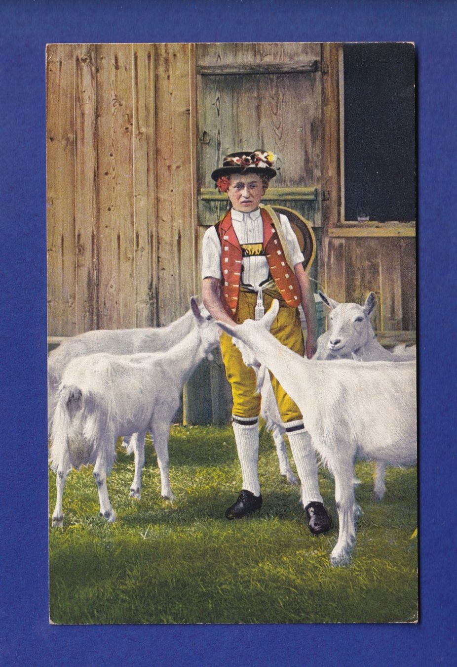 Cartoline postali: CHEVRES / ZIEGEN - Appenzell – Usato da Pully venduto da nicecards-shop