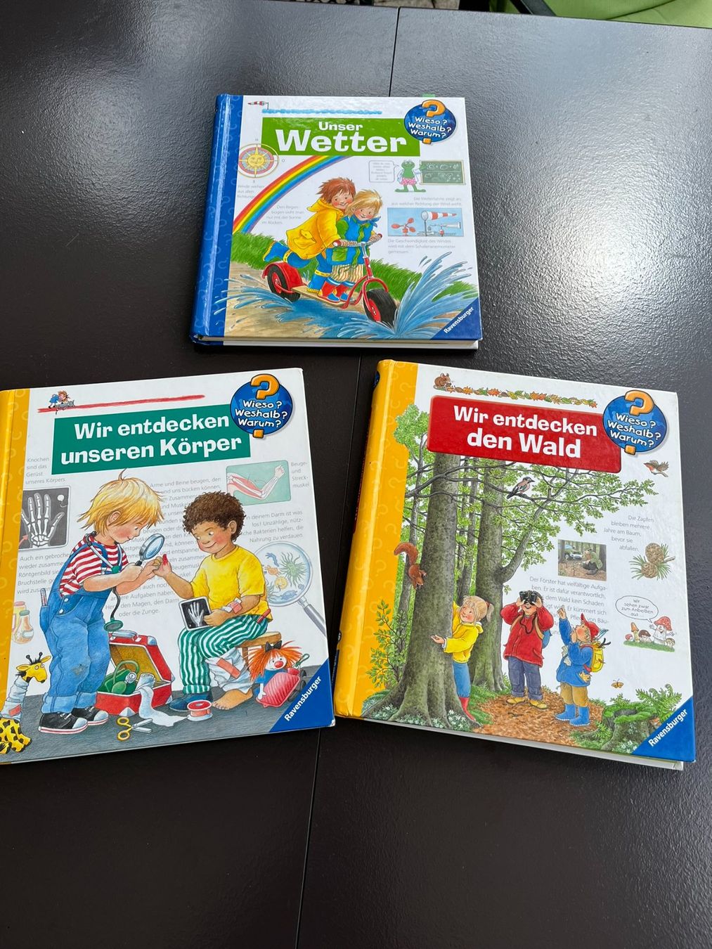 Livres: Kinderbücher.  Die Welt entdecken – D'occasion à Beromünster par the_pmv8