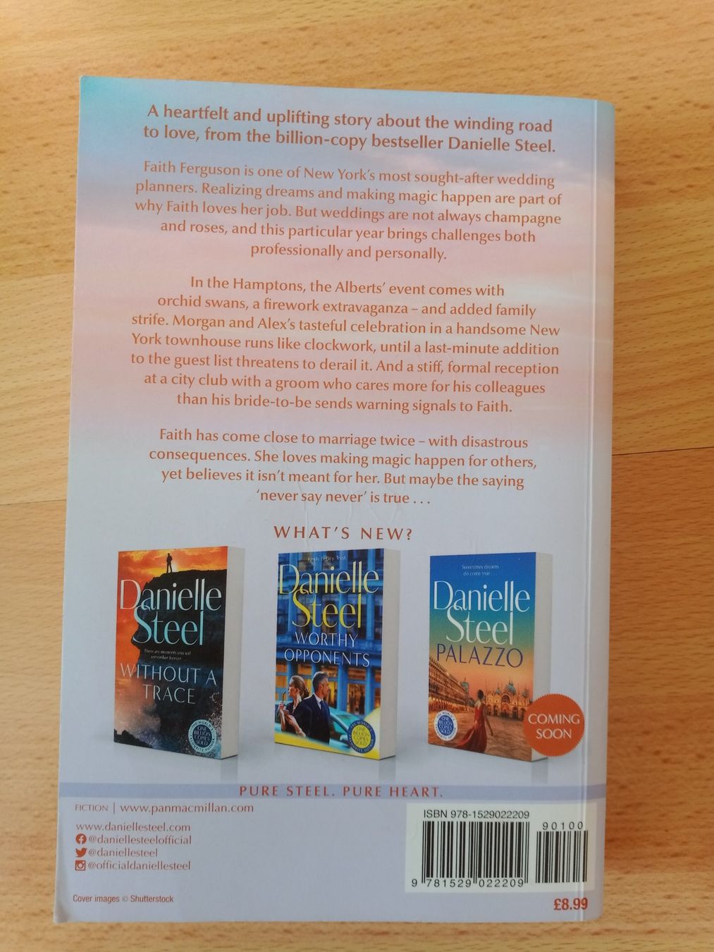 Libri: Danielle Steel The Wedding Planner Romance fiction – Usato da Wangen b. Olten venduto da EmilythestrangeX 1