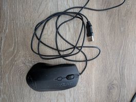 Roccat Maus