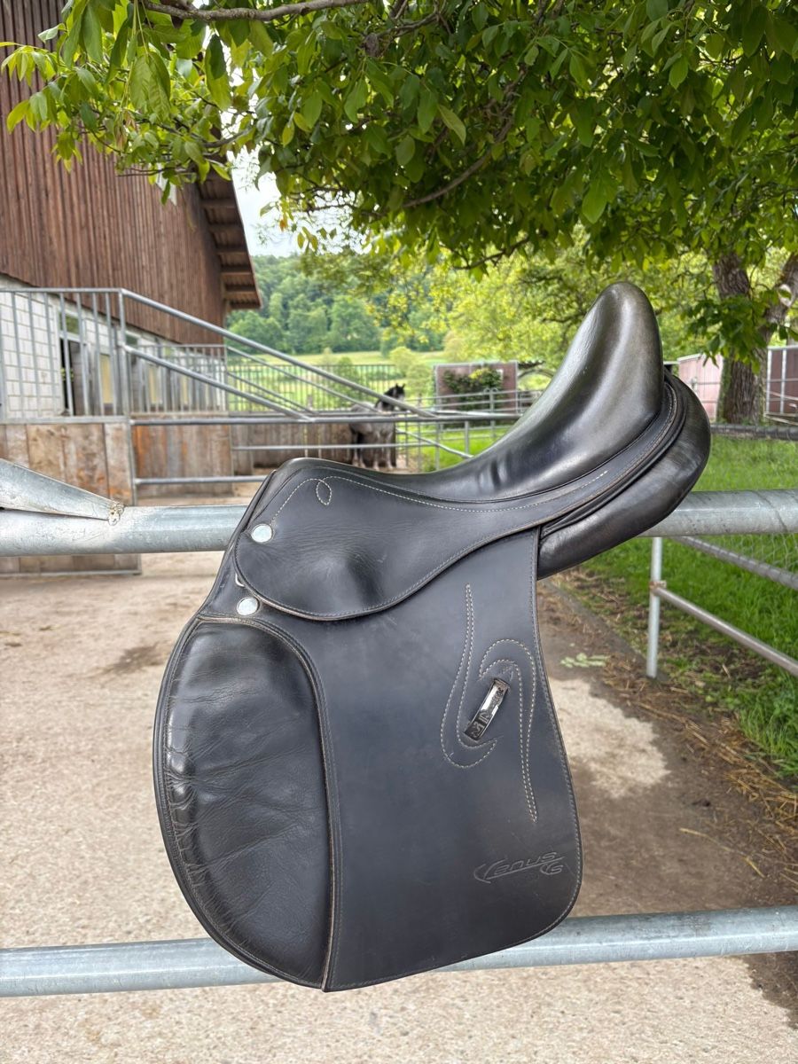 Selle & Accessori: Prestige Venus Vielseitigkeitssattel – Usato da Brunegg venduto da bur_8xk7 1