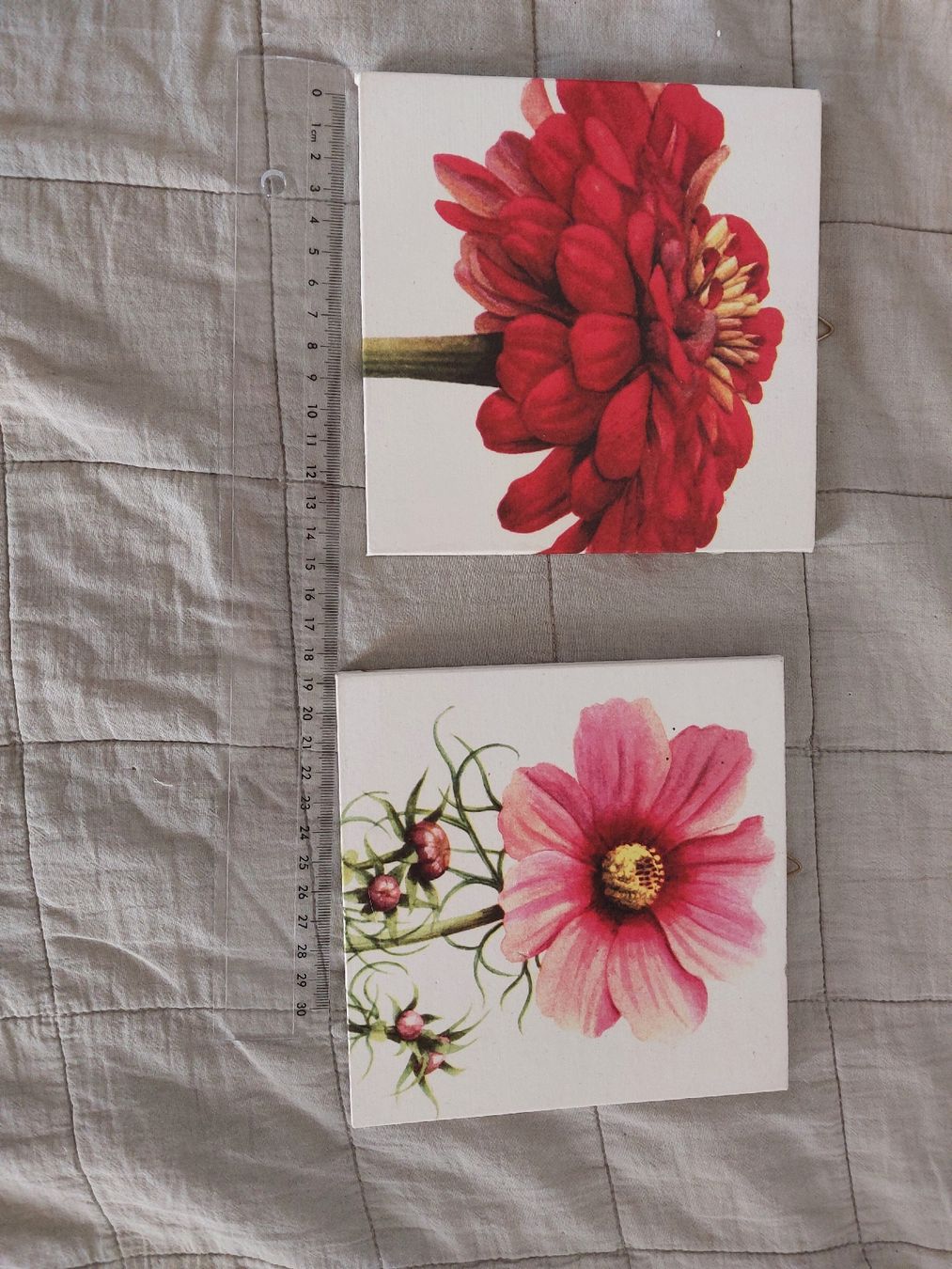 Poster & Bilder: 2er Set Blumenbilder – Gebraucht aus Einsiedeln von rava02