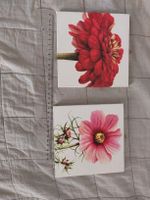 2er Set Blumenbilder