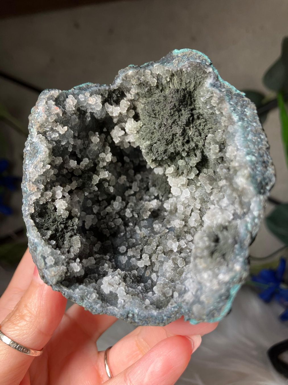 Minerali & Pietre curative: Grüner Chalcedon-Stalaktit – Nuovo (secondo la descrizione) da Neuheim venduto da m.hald 2