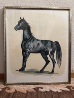 Pferdebild, Lithografie, von Handzeichnung