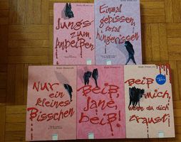Jungs zum Anbeissen, Jugendbuchreihe