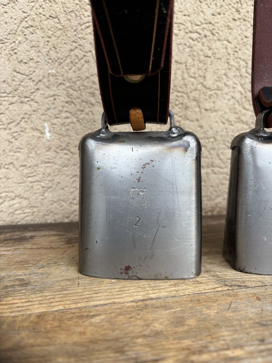 Campanacci mucche: 2 x Gotthardt NR 2 – Usato da Schangnau venduto da Roseggli82 1