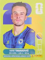 Panini FIFA World Cup BIH 20