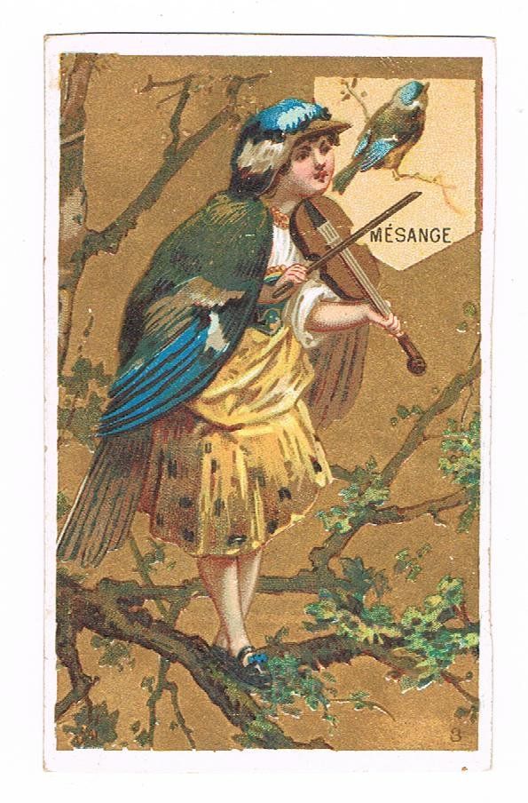 Cartoline postali: Cartes - Chromo – Usato da Genève venduto da edelweiss1900 3