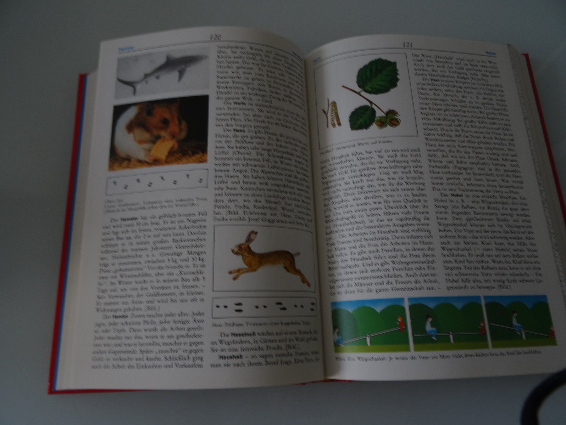 Bücher: Kinder Lexikon – Gebraucht aus Winterthur von valbella7 2