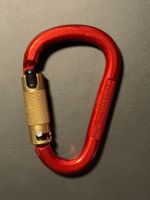 Karabiner AustriAlpin HMS 3-Wege-Autolock, 2 Stk. vorhanden