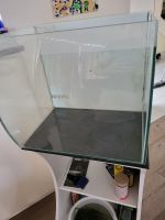 Fluval Aquarium Süsswasser-Set Flex 57L inkl. Standfuss