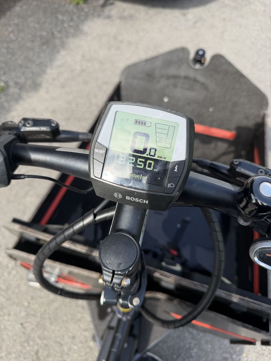 Riese & Müller Velos: Riese & Müller Packster 60 Cargo eBike/Cargo Velo – Gebraucht aus Ennetbürgen von de_dutchman 2