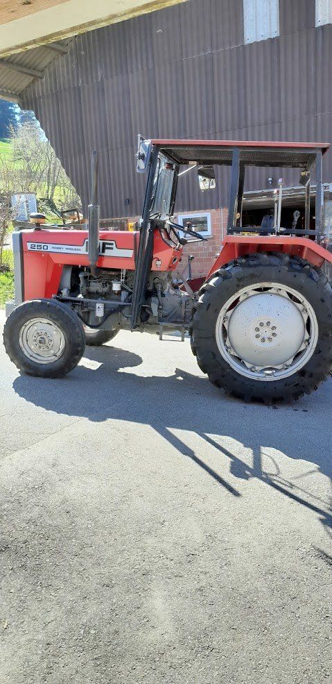 Massey Ferguson Trattori: Traktor MF 250/8 – Usato da Wyssachen venduto da sandro-marc