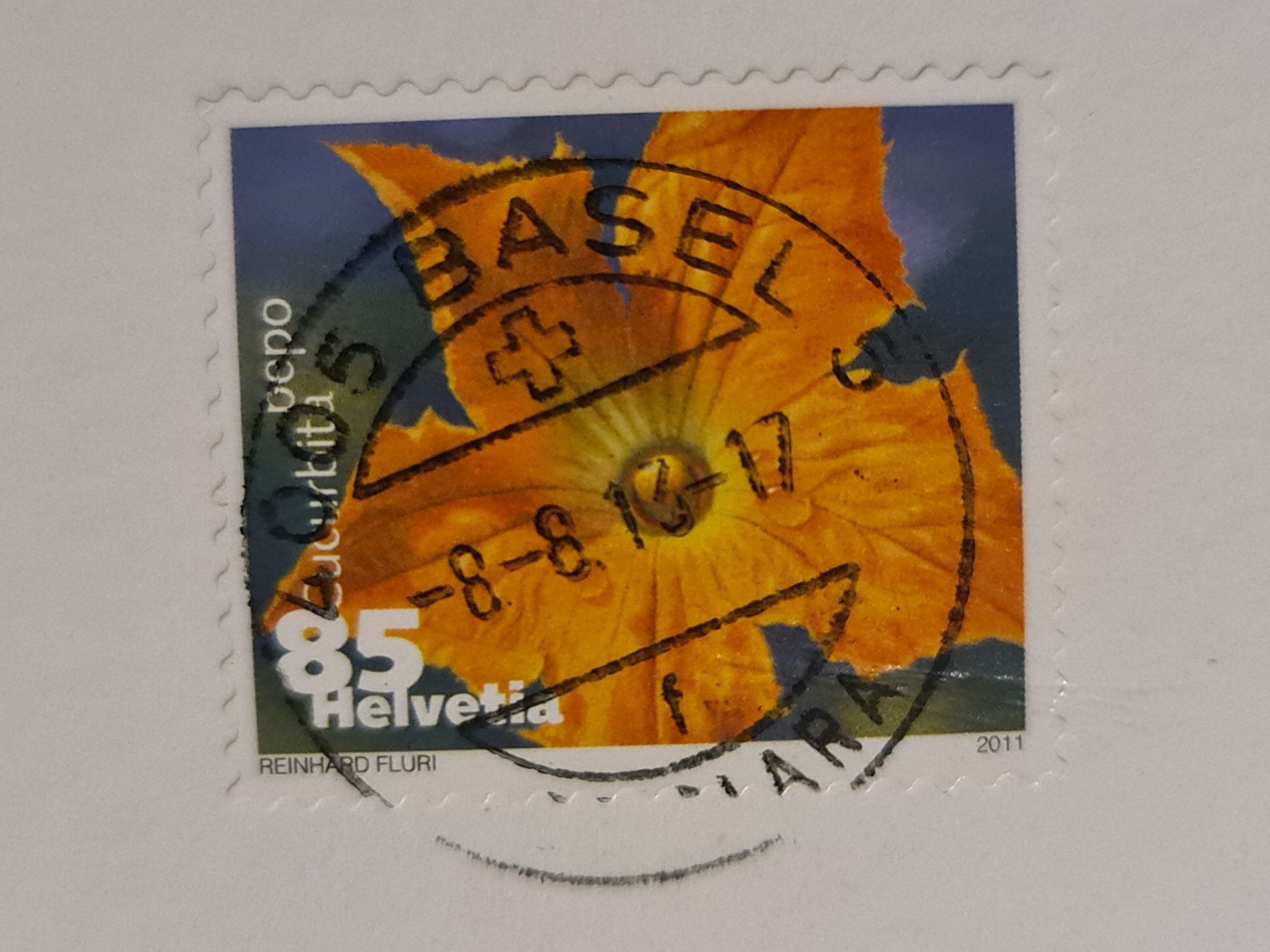 Cartes postales: Zoo Basel Ansichtskarte Löwen – D'occasion à Dintikon par Vexi 1