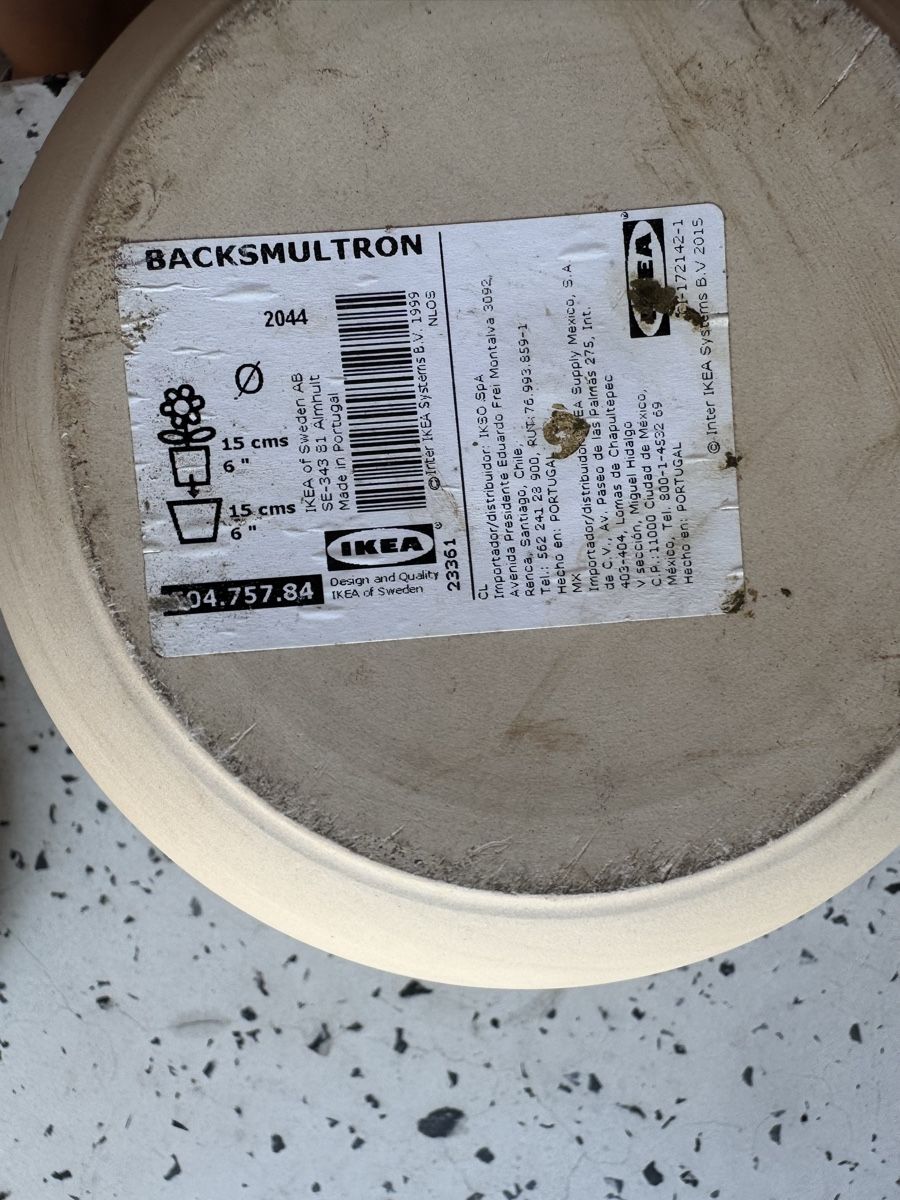 Ikea Vasi per fiori: 2x beiger Blumentopf – Usato da Zürich venduto da kat_ww7d 1