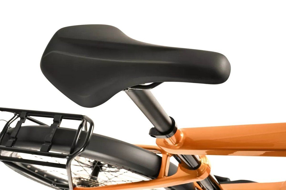 Winora Biciclette: Winora Yakun X10 High ginger glossy – Nuovo e nell'imballaggio originale da Lausanne venduto da AB-Ebikes 5