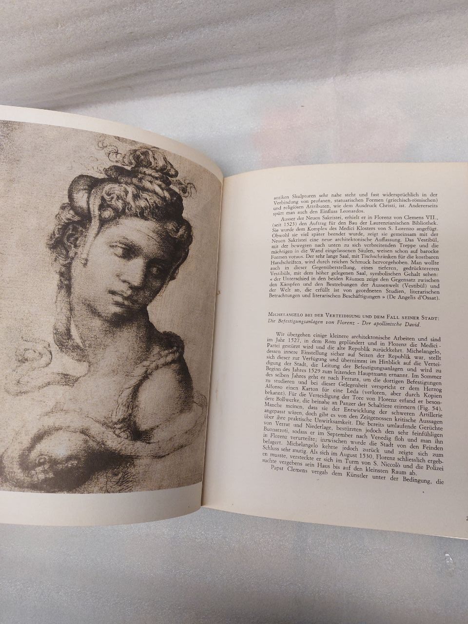 Libri: Michelangelo, Das Gesamtwerk, Kunstbuch! – Usato da Pambio Noranco venduto da Pol69 6