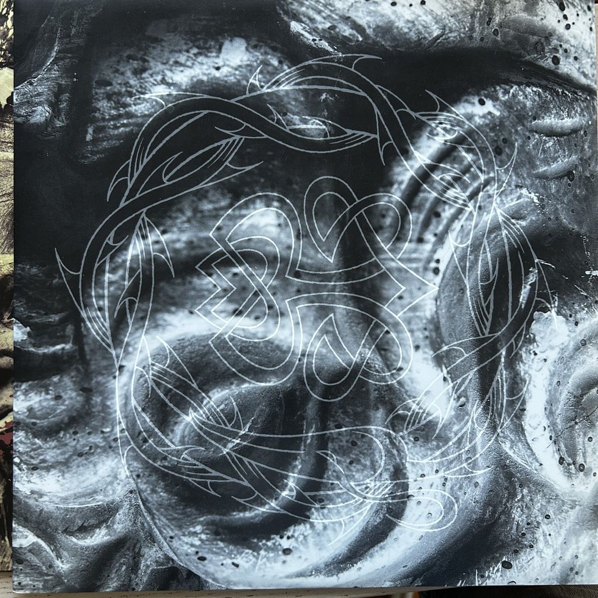 Dischi in vinile: Vinile Paradise Lost "Icon" + Poster – Usato da Guntershausen venduto da Simone_75 4