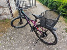 Bulls Zarena Mountainbike