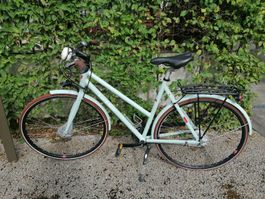 Velo Damen Ortler