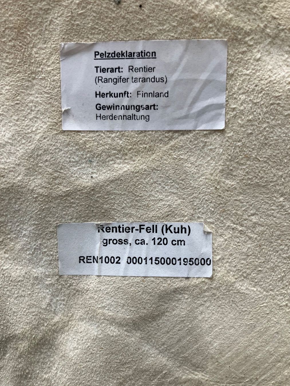 Tutte le decorazioni: Renntierfell, Wanddekoration – Usato da Männedorf venduto da lareina 6
