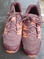 Salomon  numero 38