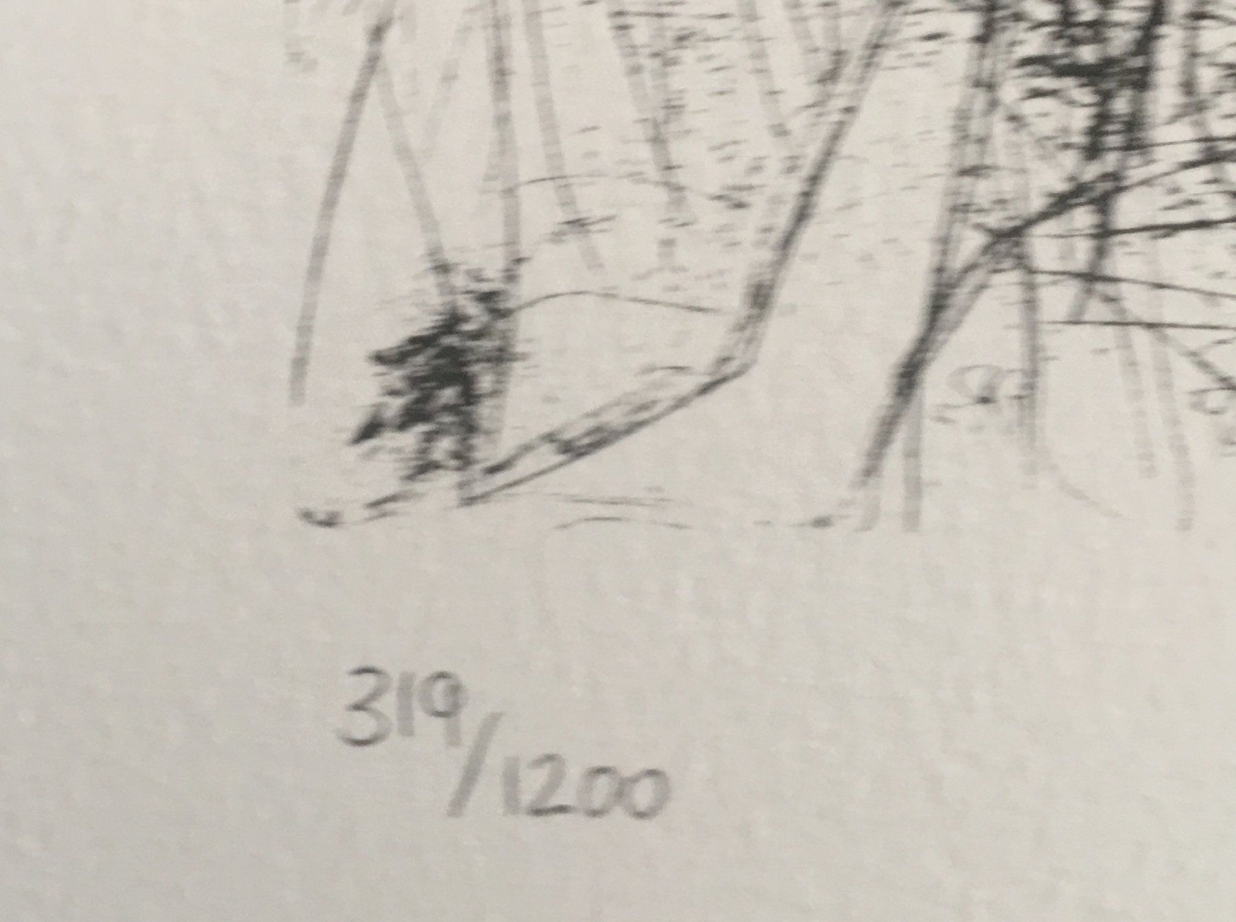 Grafica & Litografie: Pablo Picasso     Suite Vollard         "Planche XVIII" – Usato da Nennigkofen venduto da Sommersonnen 5