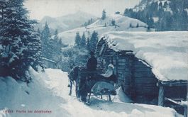Adelboden  BE  - Dorfpartie / Pferde-Schlittenfahrt  um 1911
