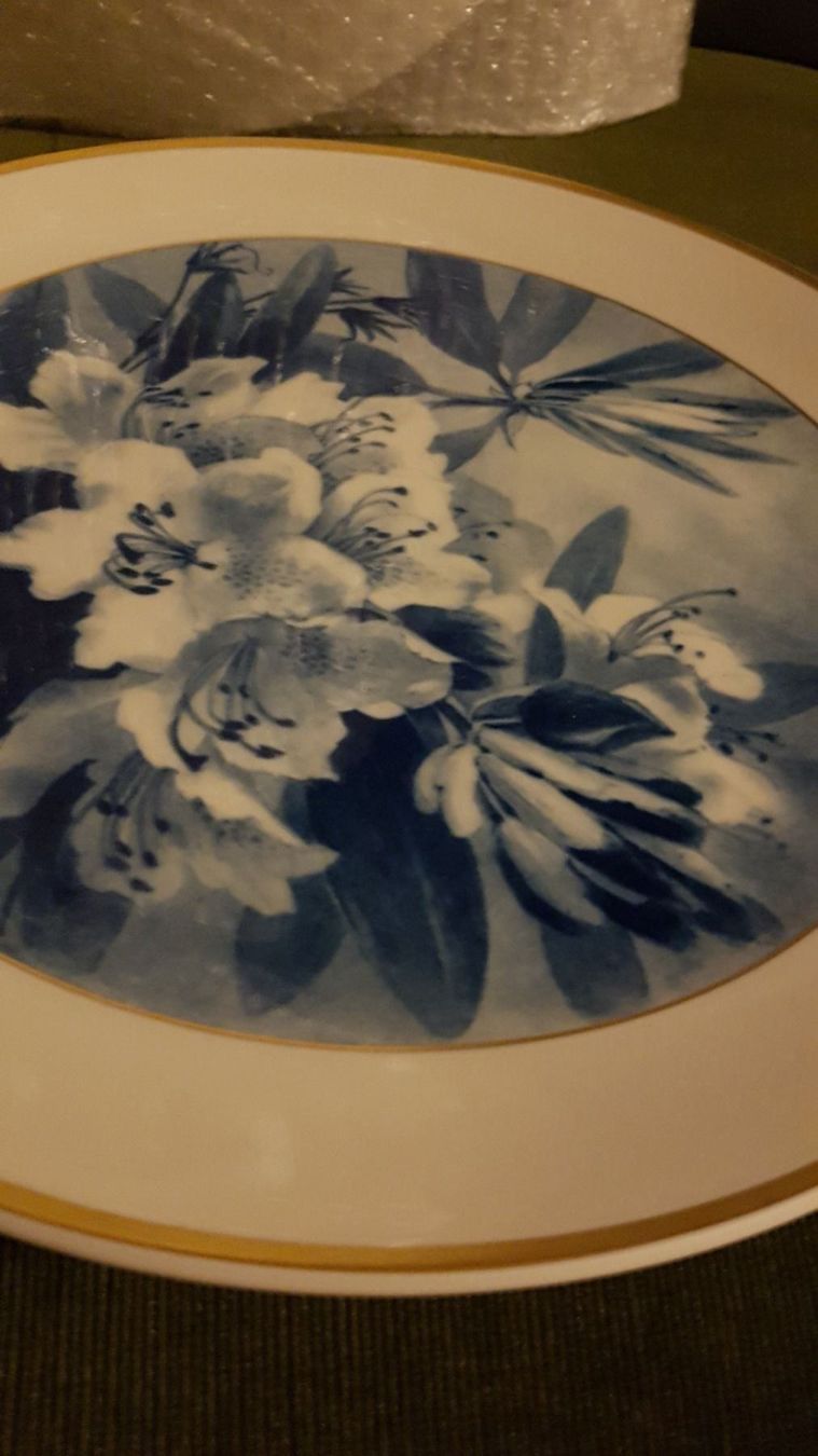 Piatti: Meissen Aquatinta Blume Wandteller – Nuovo (secondo la descrizione) da Urtenen-Schönbühl venduto da Cbuyer 6