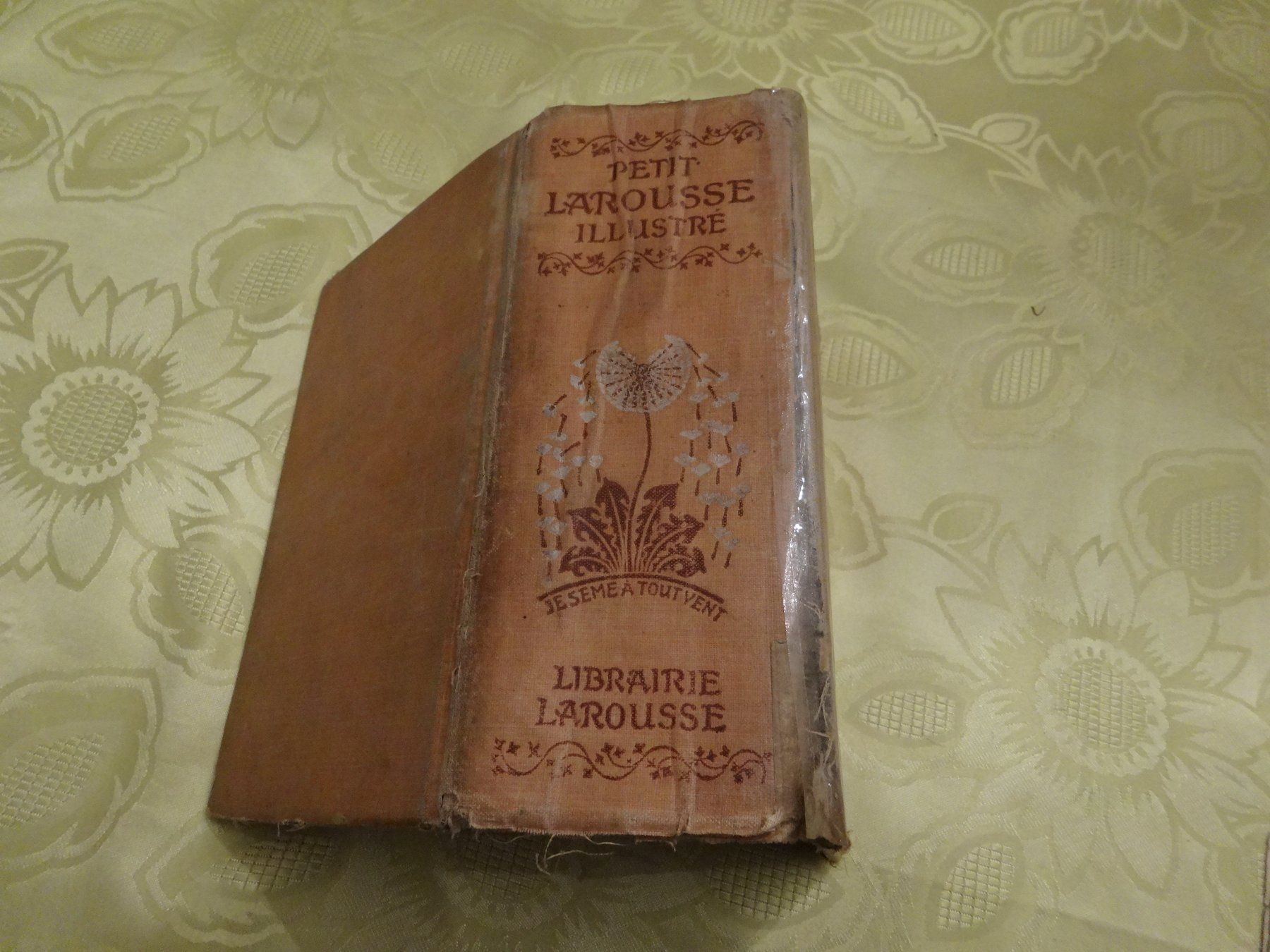Libri: Petit Larousse illustré - 1918 – Usato da Biel/Bienne venduto da milamila02 3