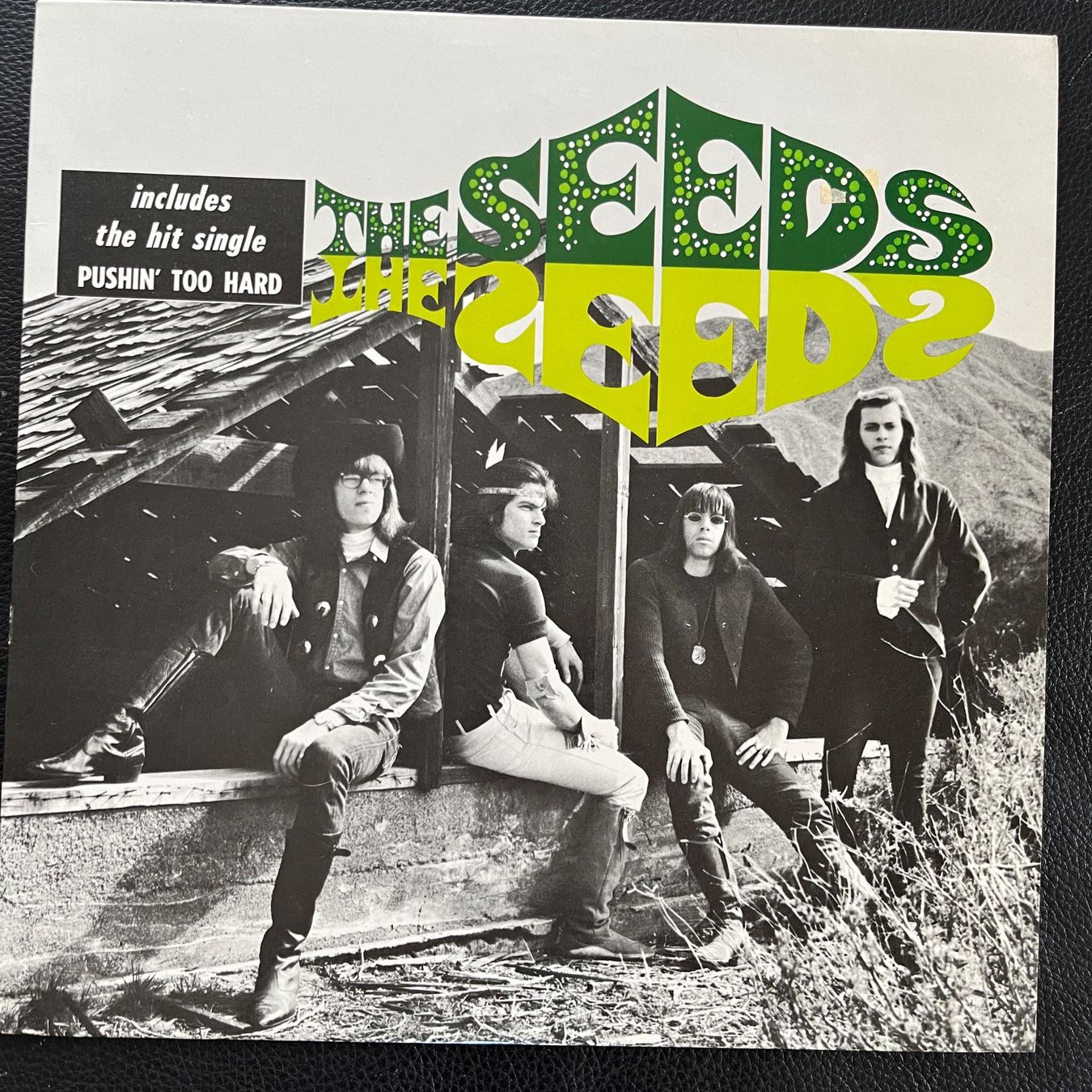 Dischi in vinile: The Seeds (Same) - Vinyl LP – Usato da Lenzburg venduto da sch_lml8