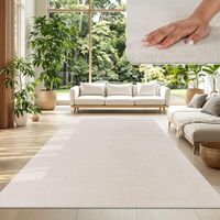 -50%‼️  Flauschiger 240x340  Teppich Super Soft DIV. FARBEN