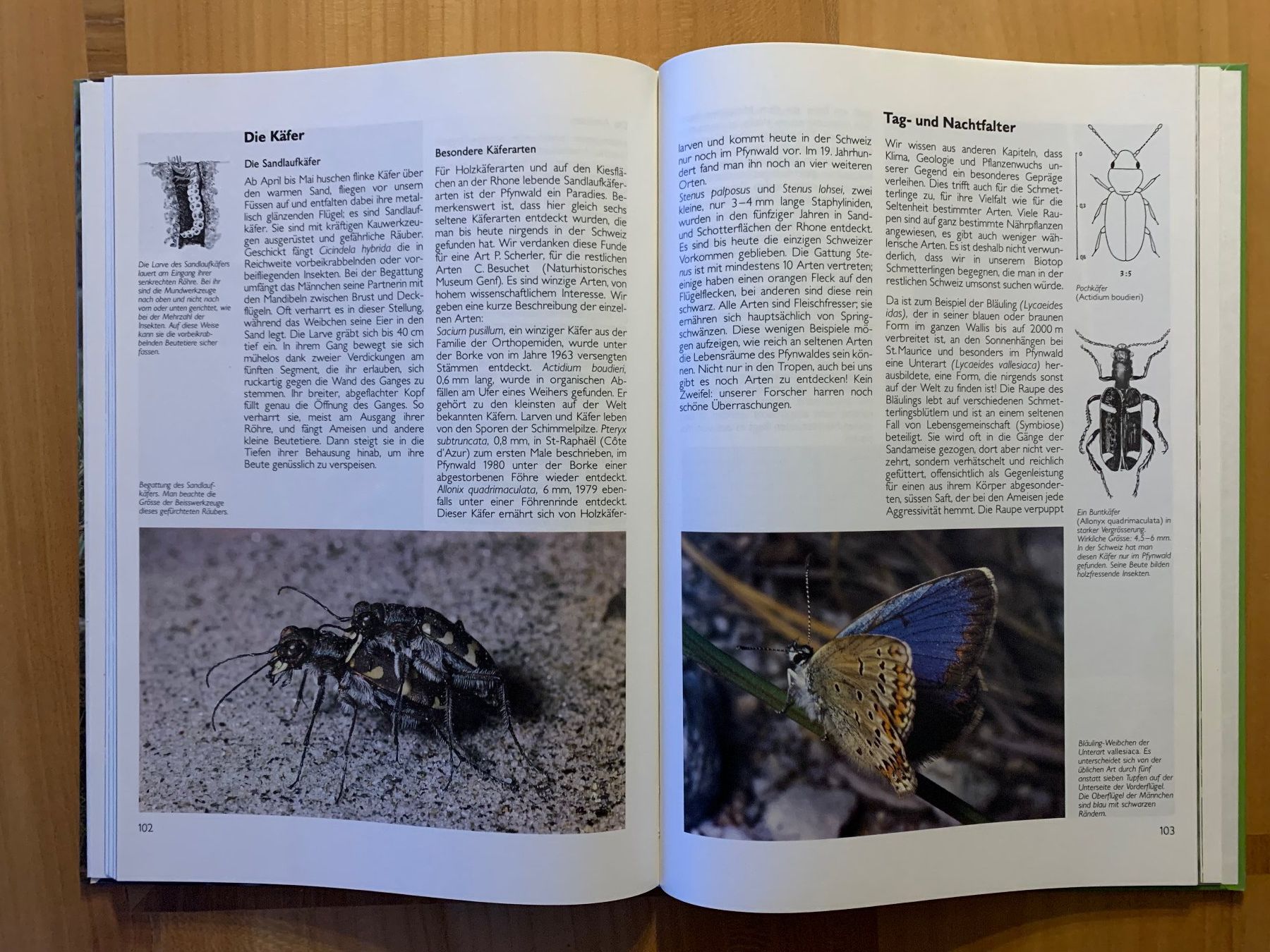 Libri: Natur entdecken im Pynwald – Usato da Thalwil venduto da Ardez123 3