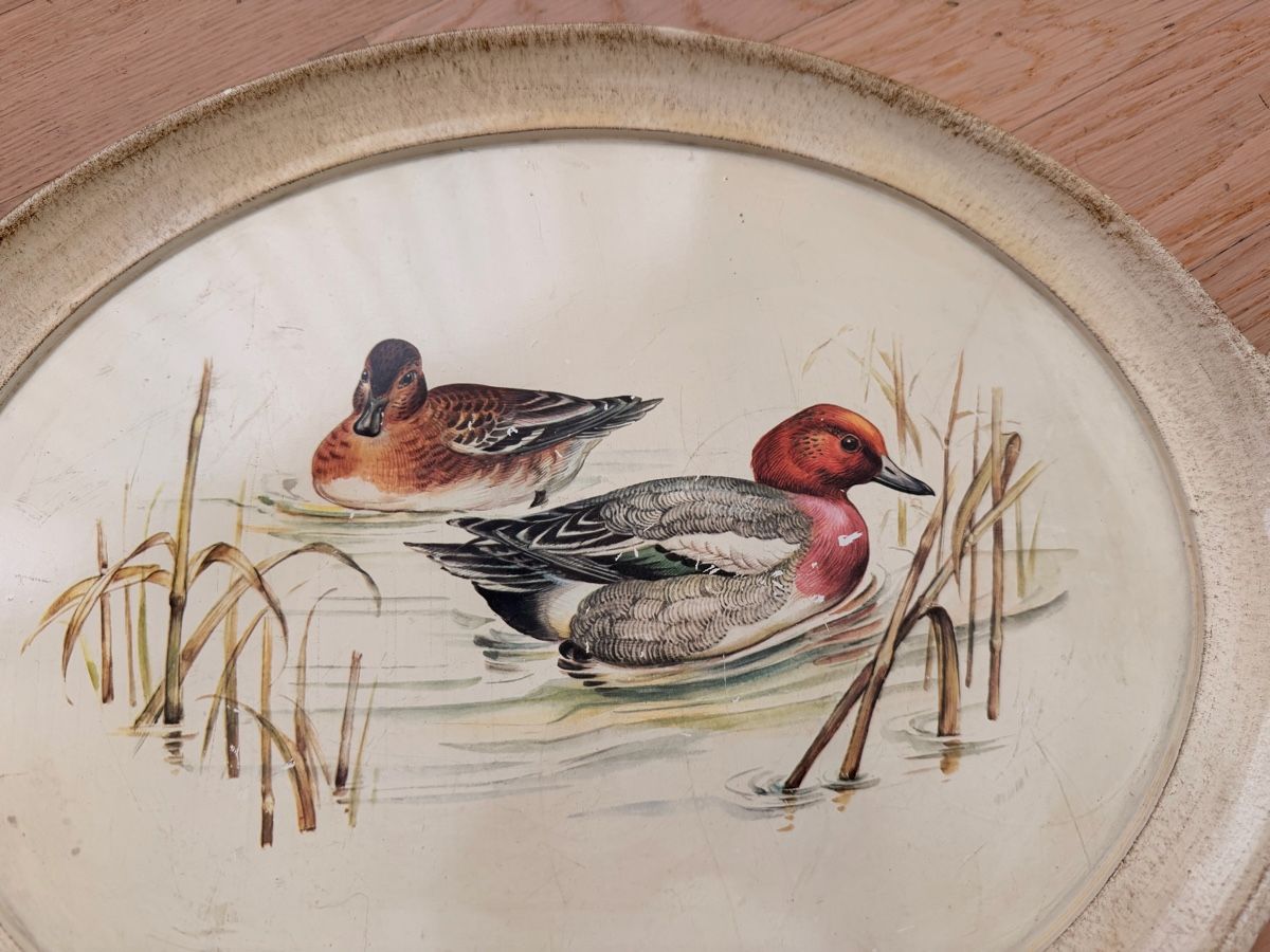 Tutte le decorazioni: Vintage Serviertablett mit Entenmotiv – Usato da Rorschach venduto da nan_8rts 1