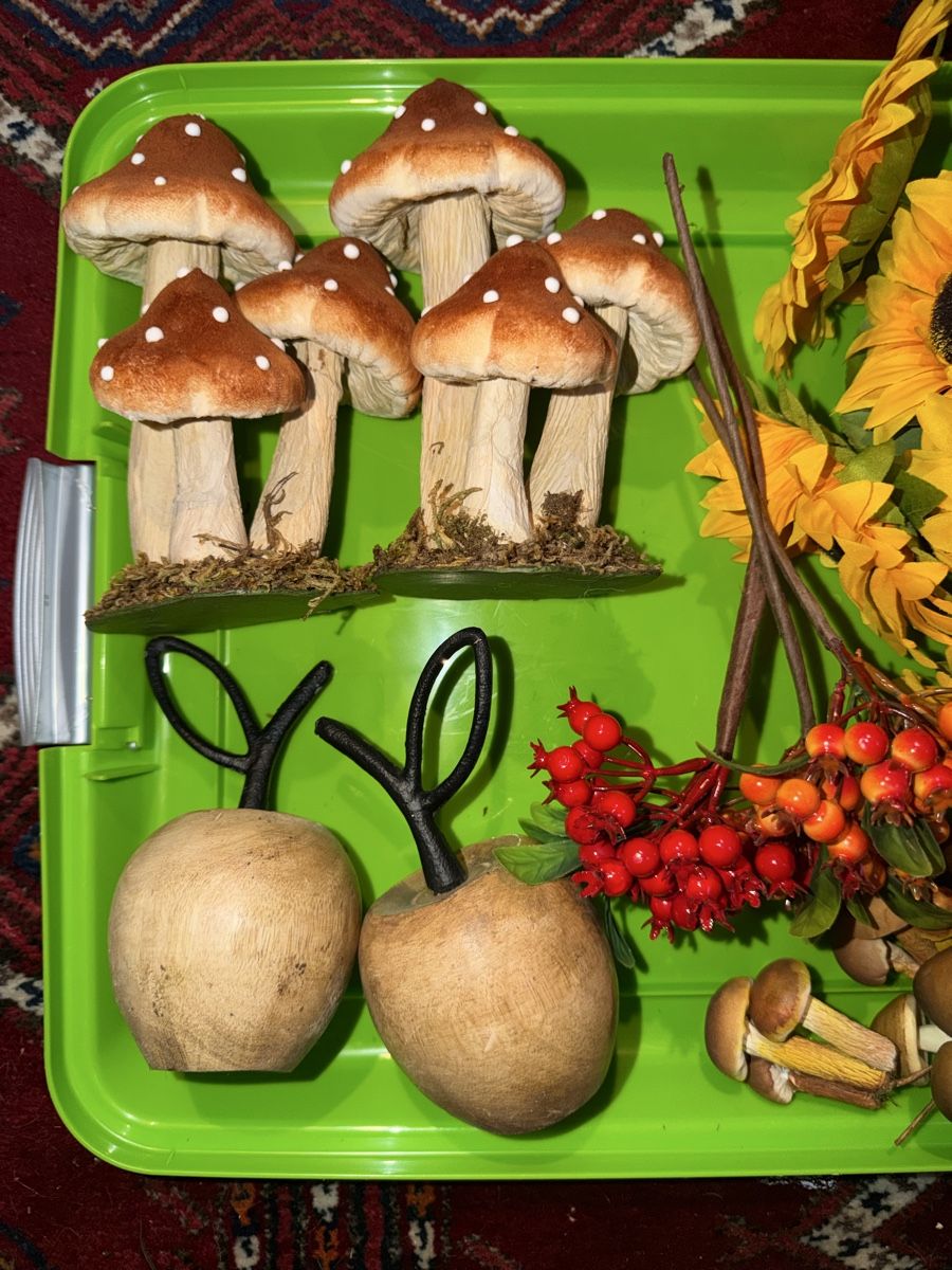 Tutte le decorazioni: Herbst Deko Set: 31-teilig!  – Usato da Pfäffikon ZH venduto da lenaviktoria 1