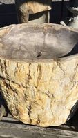 Waschbeckensäule Fossil Versteinertes Holz Becken Lavabo