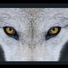 Profile image of adr_7ytk