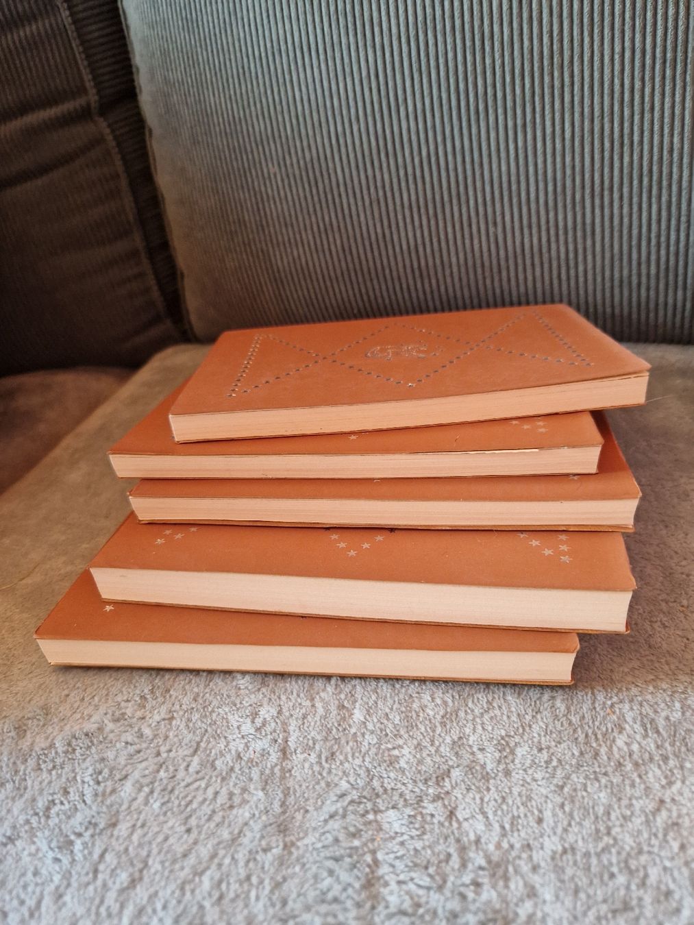 Libri: RARE Lot de Romans La petite Ourse Lausanne – Usato da Blignou (Ayent) venduto da Mazikeen 4